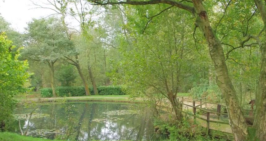 The Spinney boasts an 11-acre site of extensive woodland and landscaped areas